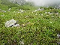 accessories-websitenavi.jpg